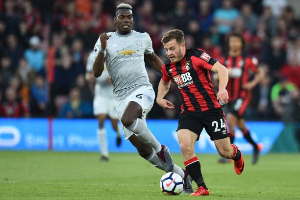 许多宠物主 许多宠物主